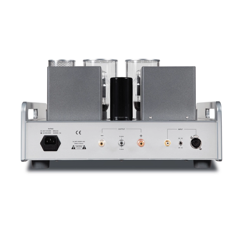 Allnic Audio A 311M Lambalı Mono Güç amplifikatörü