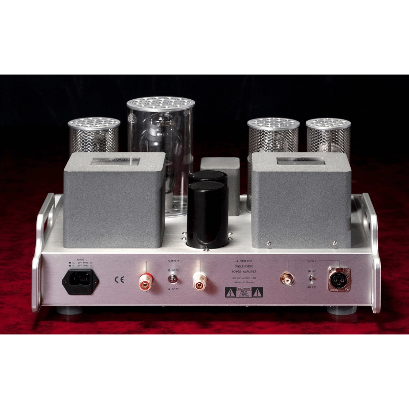 Allnic Audio A 5000 DHT Lambalı Mono Güç Amplifikatörü